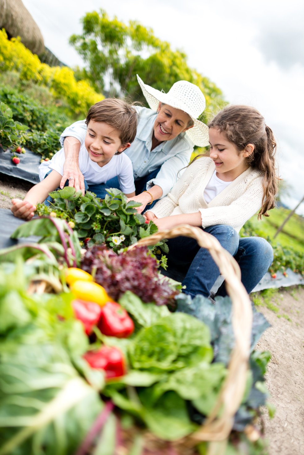 Grandma gardening with the kids